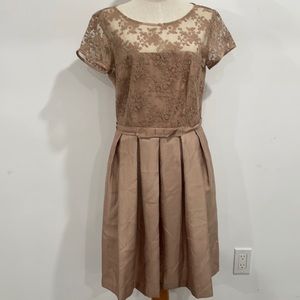 Taylor beige lace dressy promo elegant dress